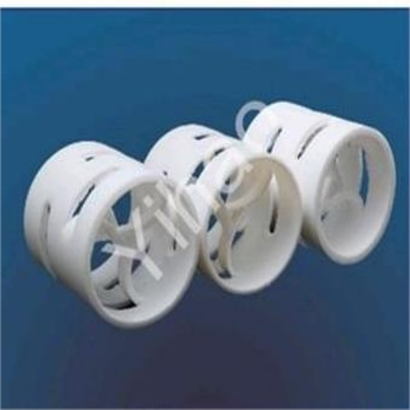 Plastic Pall Ring1 (1)